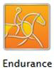 logo endurance.png